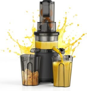 Aorda Cold Press Juicer Review: Maximize Nutrition & Flavor