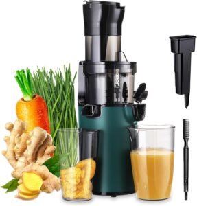 REPALY Cold Press Juicer Review: Compact & Nutritious