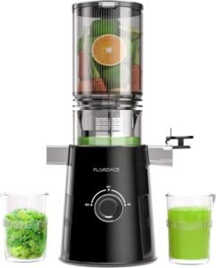 Floisdace Cold Press Juicer Review